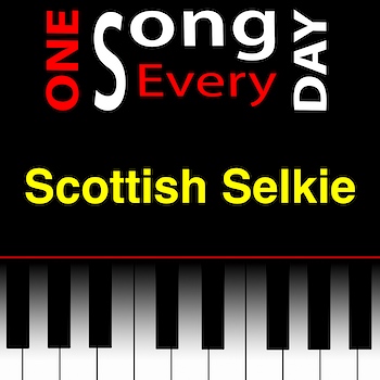 Scottish Selkie